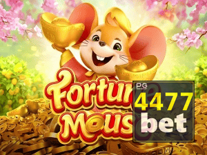 4477 BET login — configurações de segurança e proteção de conta